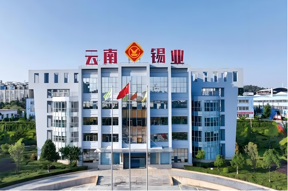 云南锡业项目